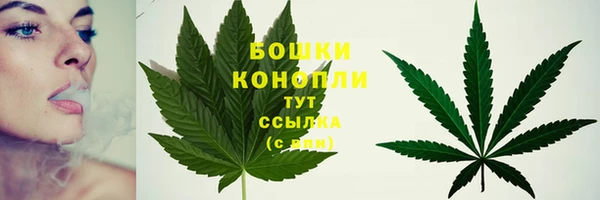 каннабис Белокуриха