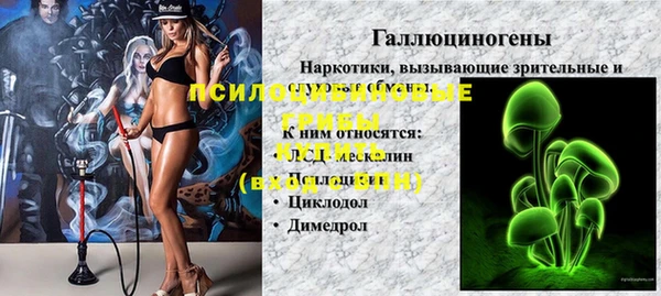 ПСИЛОЦИБИНОВЫЕ ГРИБЫ Беломорск