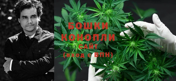 ПСИЛОЦИБИНОВЫЕ ГРИБЫ Беломорск
