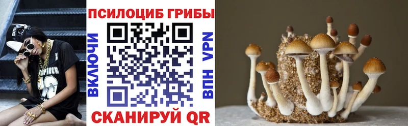 продажа наркотиков  Кушва  Галлюциногенные грибы GOLDEN TEACHER 